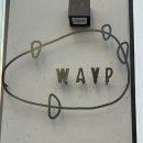 웨이프(WAYP) 이미지