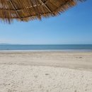 미스터Lee 이미지