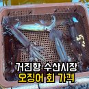 수산시장 | 강원도 거진항 오징어 가격 회 포장 주차 고성 수산시장 후기