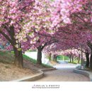 대구상인초등학교 이미지