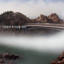 대왕암공원타워주차장화장실 이미지