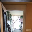 네일만다라