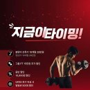 조지아휘트니스 이미지