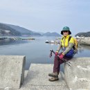 향일암전망대 이미지