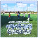 서울대학교시흥캠퍼스스포츠파크