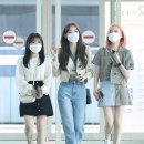사쿠라
