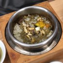 솔레올레 이미지