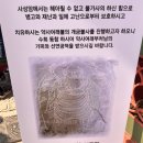 산수유꽃길로 | [국내여행] 3월 말 구례 당일치기 여행 코스,맛집, 산수유 구경 정리