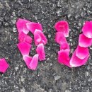 김형제고기철학아중점 이미지