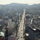 다산로 헤럴드경제