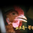 홍*영 - 미추홀구 소성로318번길 5 | 홍*영