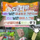 국민전통갈비 미소그릴 | 돼지바 넛티초코와 메로나 칼로리 가격정보, 대한민국 대표 아이스크림 비교