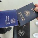 갓트렌드 | 2024 ICPC Asia Pacific Championship 후기