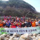 화개초등학교 이미지