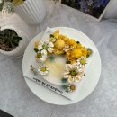 카페산정 - 해남군 산정길 65-21 | 카페산정
