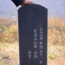 박정용 묘소 Daum카페