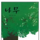광교나무미술학원 이미지