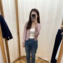 단델리온시티