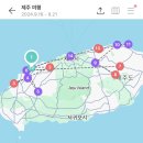 온월 | 제주에서 느긋한 여행 5DAY : 그래도 핫플은 못 참지