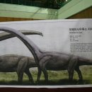 대구공룡엑스포와 뉴욕자연사 박물관의 비교체험 후기입니다. 이미지