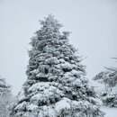 군자농장 이미지