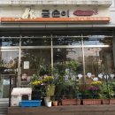 동물제중원금손이 동물병원 이미지