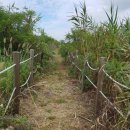 다을새길 이미지