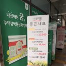 11 | 여수 시청 샤브샤브 무한리필 통큰샤브 런치 학동 맛집