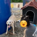 스테이 맷돌채 이미지