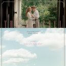 명품 갈매기 이미지