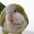 단식농장 이미지