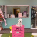 퍼피타운커피 이미지