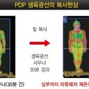 바이오포톤