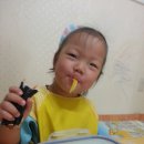 둘둘마리 이미지