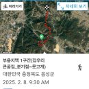 부용지맥 1구간(감우리큰곰집_분기점~못고개) 20250208 이미지