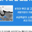 손영진치과의원 이미지