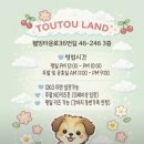 뚜뚜랜드 네이버블로그