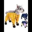 신발신은 강아지 | 강아지신발로 산책이 즐거워지는 비법