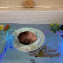 카페138일 | 138일차 아기 수영장 물놀이 가볼만한곳 일산 백석 물노리베이비 키즈카페 베이비카페