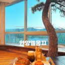 안양카페추천 분위기 좋은 대형베이커리카페 엘몽끄베이커리 후기