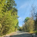 제이케이호텔 앤 리조트 (JK쉼) 이미지