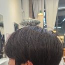 원도안로-25 이미지