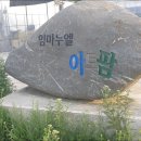 그린파파야 이미지