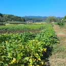 살미면사무소 이미지