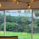 바바호미 이미지