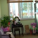 거두리한의원 이미지