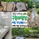 구룡 | 수도권 국립캠핑장 &#39;원주 치악산 구룡야영장&#39; 후기 예약 명당 불멍 계곡 샤워장