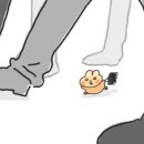 버섯마을 이미지