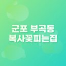 복사꽃 | [내돈내산] 군포 부곡동 복사꽃피는집│ 만족 후기
