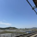 힐링약국 | 대천힐링 캠핑장 : 대천 캠핑장, 보령 캠핑장 / 스카이10, 11번 사이트 / 짬뽕도둑 방문 후기